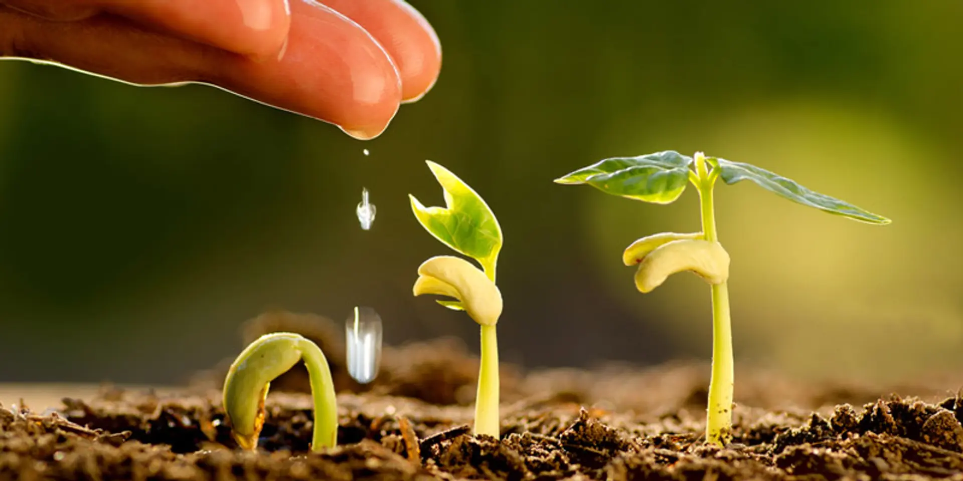 3 reasons bootstrapping has been critical to my startup