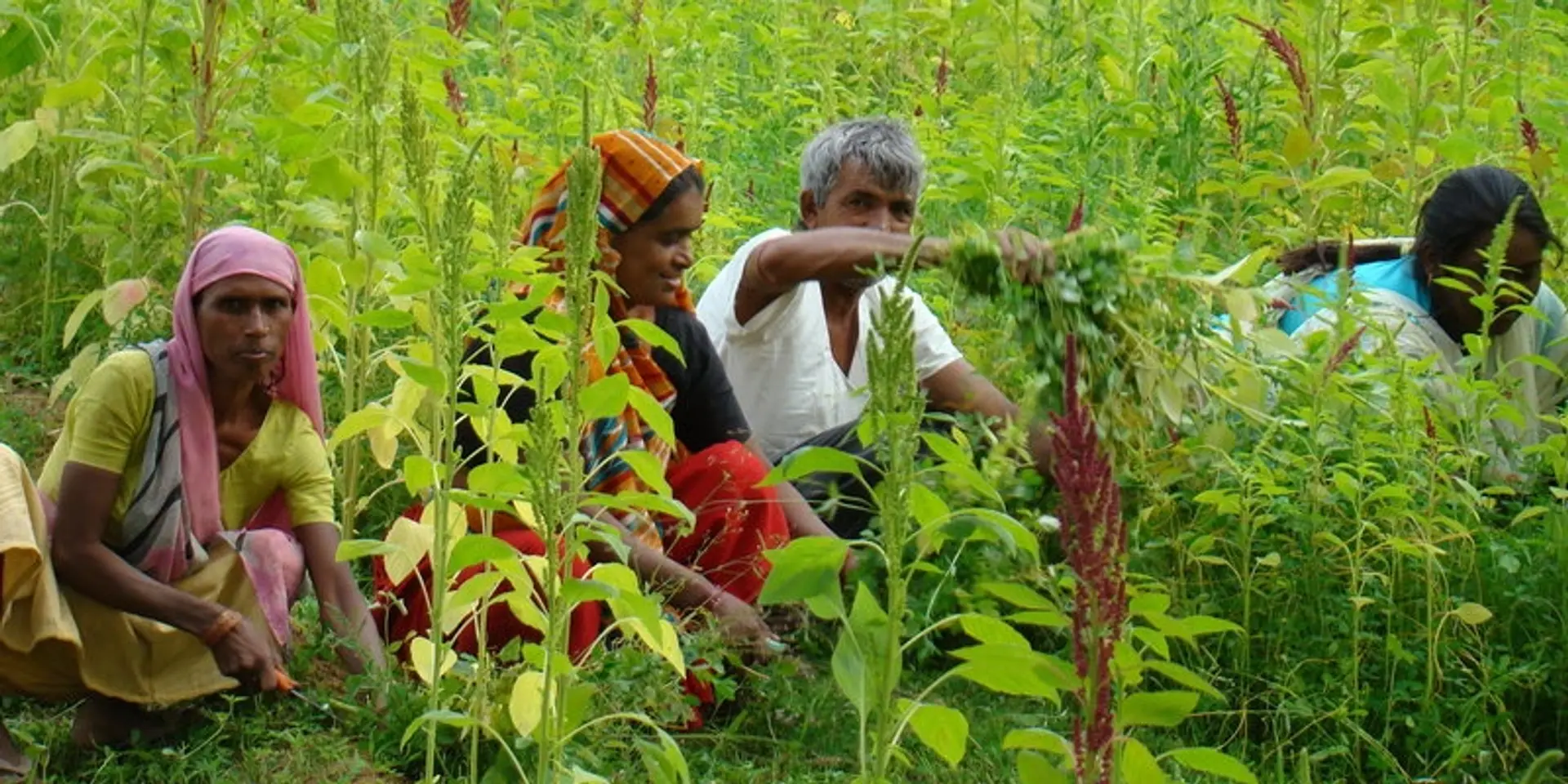 Antodaya to the tune of Bhungroo: saving rural India’s lost families