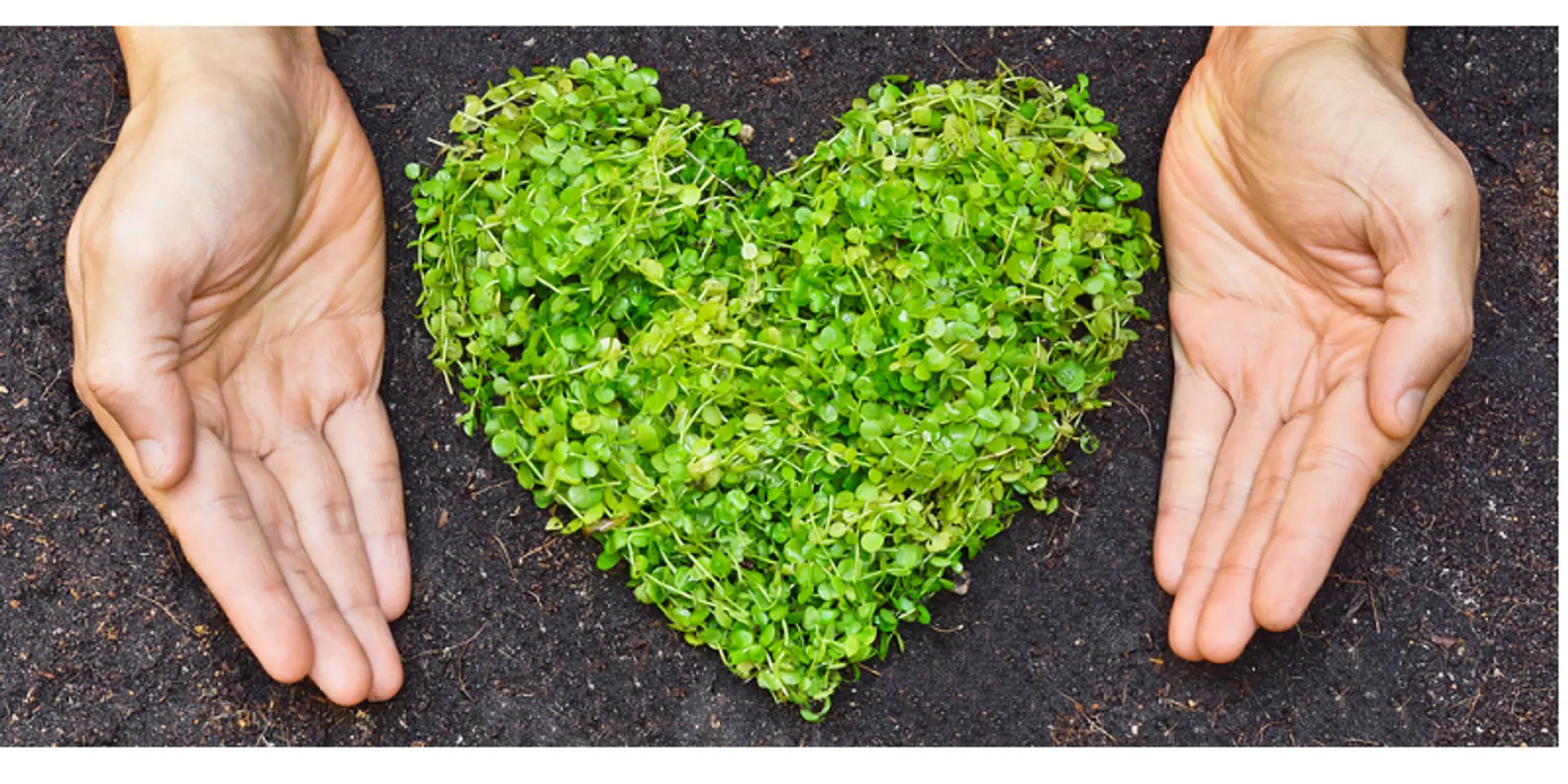 One’s environmental standards should be high. There’s no other way out