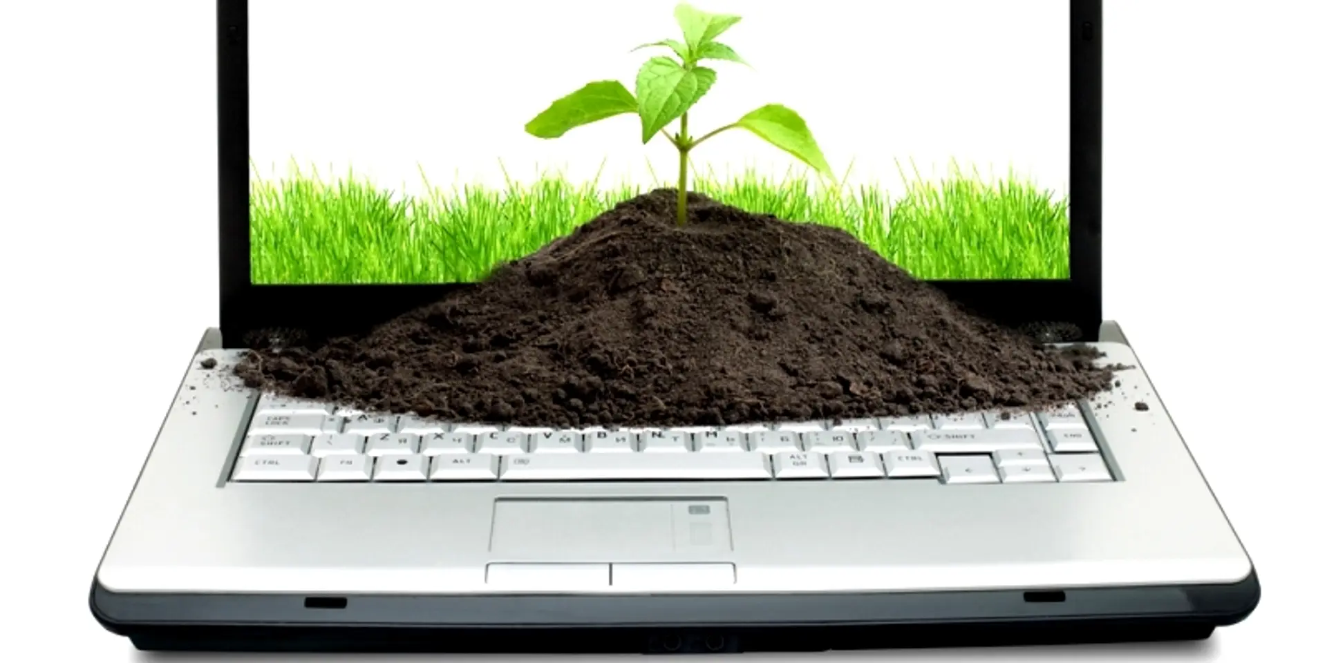Agri-business investors camp for startups in Hyderabad on June 12