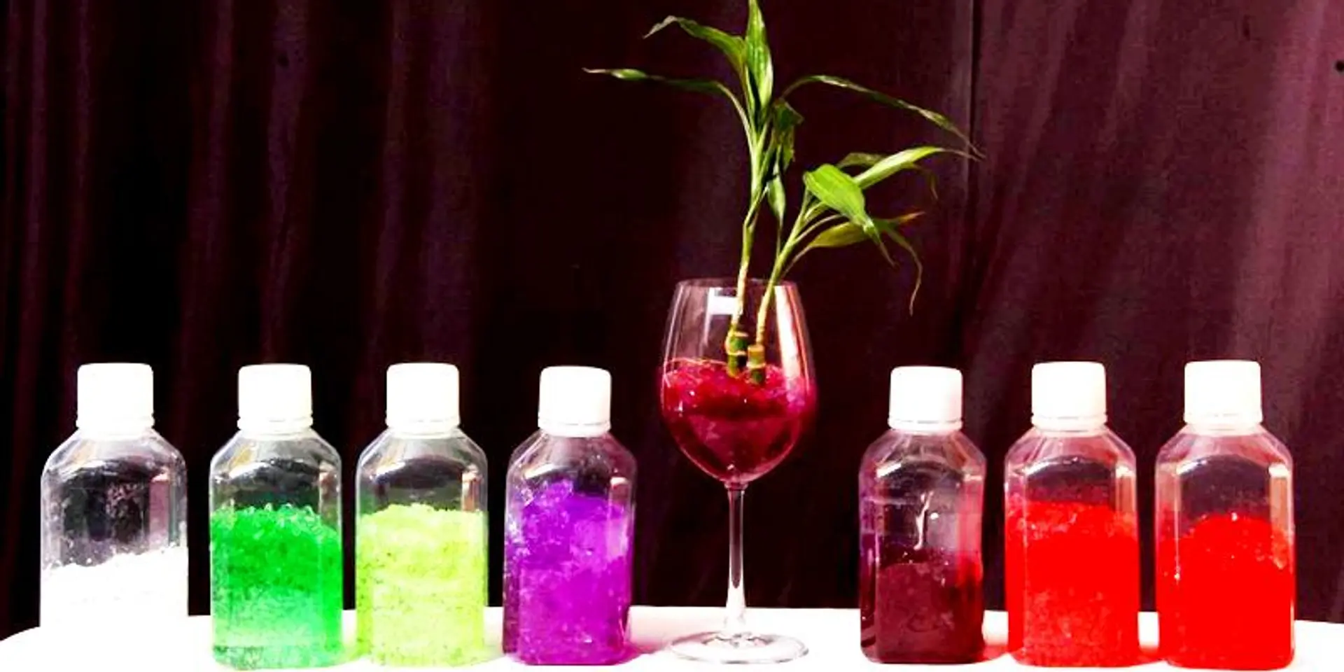 Biotech startup Eco Works fights air pollution with beautiful indoor plants