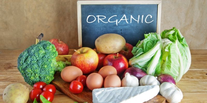 Kerala calls for organic farming and self-sufficiency in food products ...