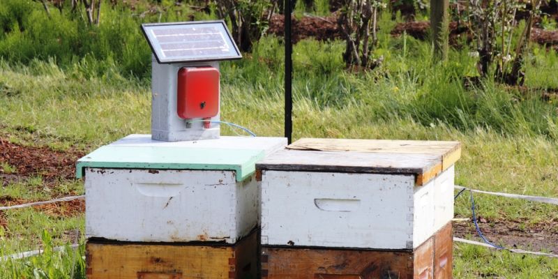 Nagaland to distribute solar power devices to promote renewable energy