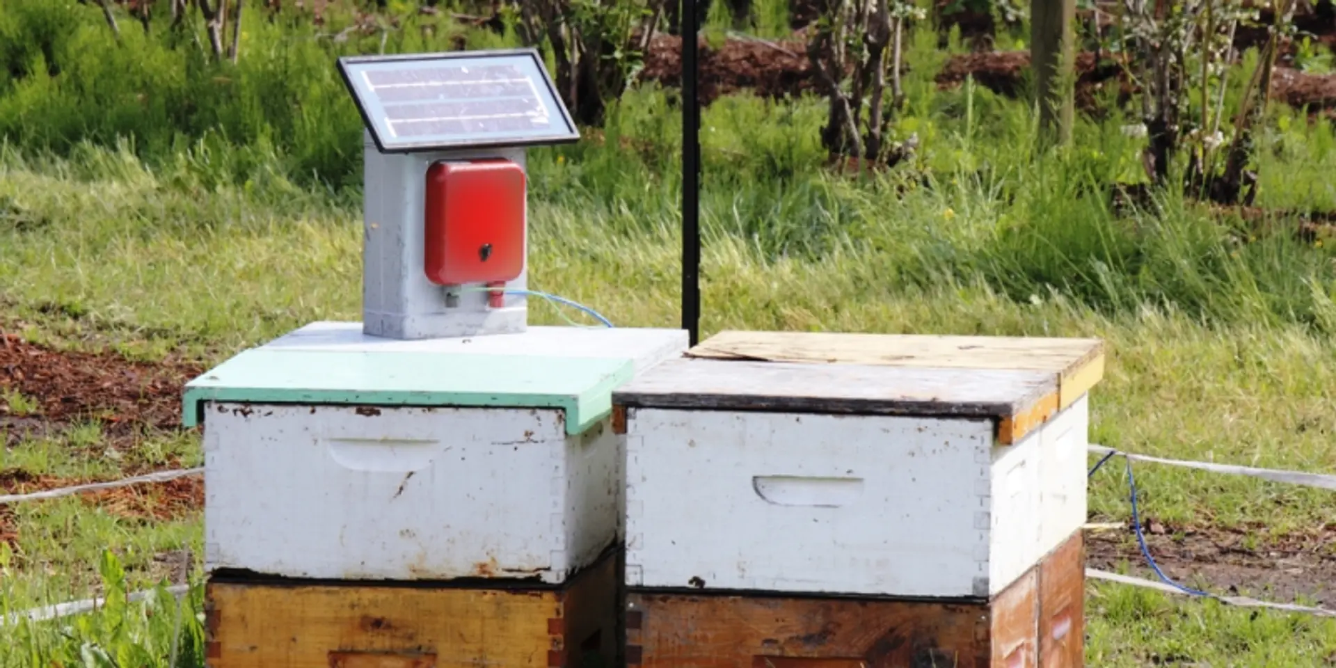 Nagaland to distribute solar power devices to promote renewable energy