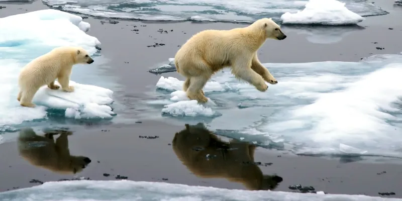 yourstory_pope_francis_climate_change_3