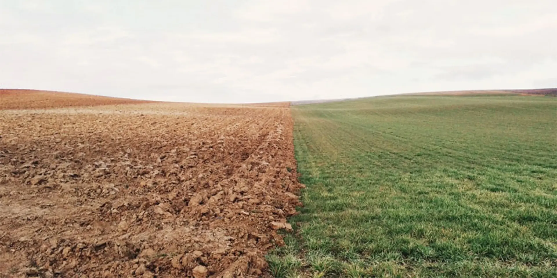 Notes from the field: An Indian perspective on the Global AgTech Week