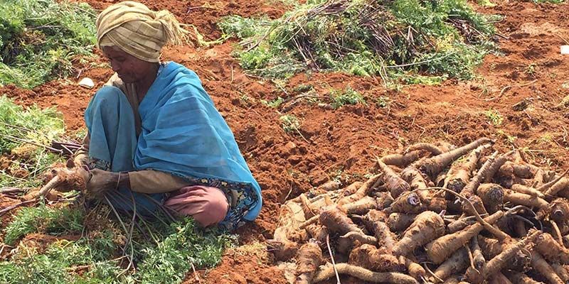 Lawrencedale Agro (LEAF) raises Series B from Denmark-based BESTSELLER Foundation and Unitus Impact