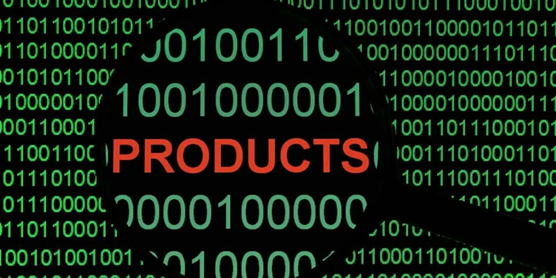 India's could-be flagship software product company