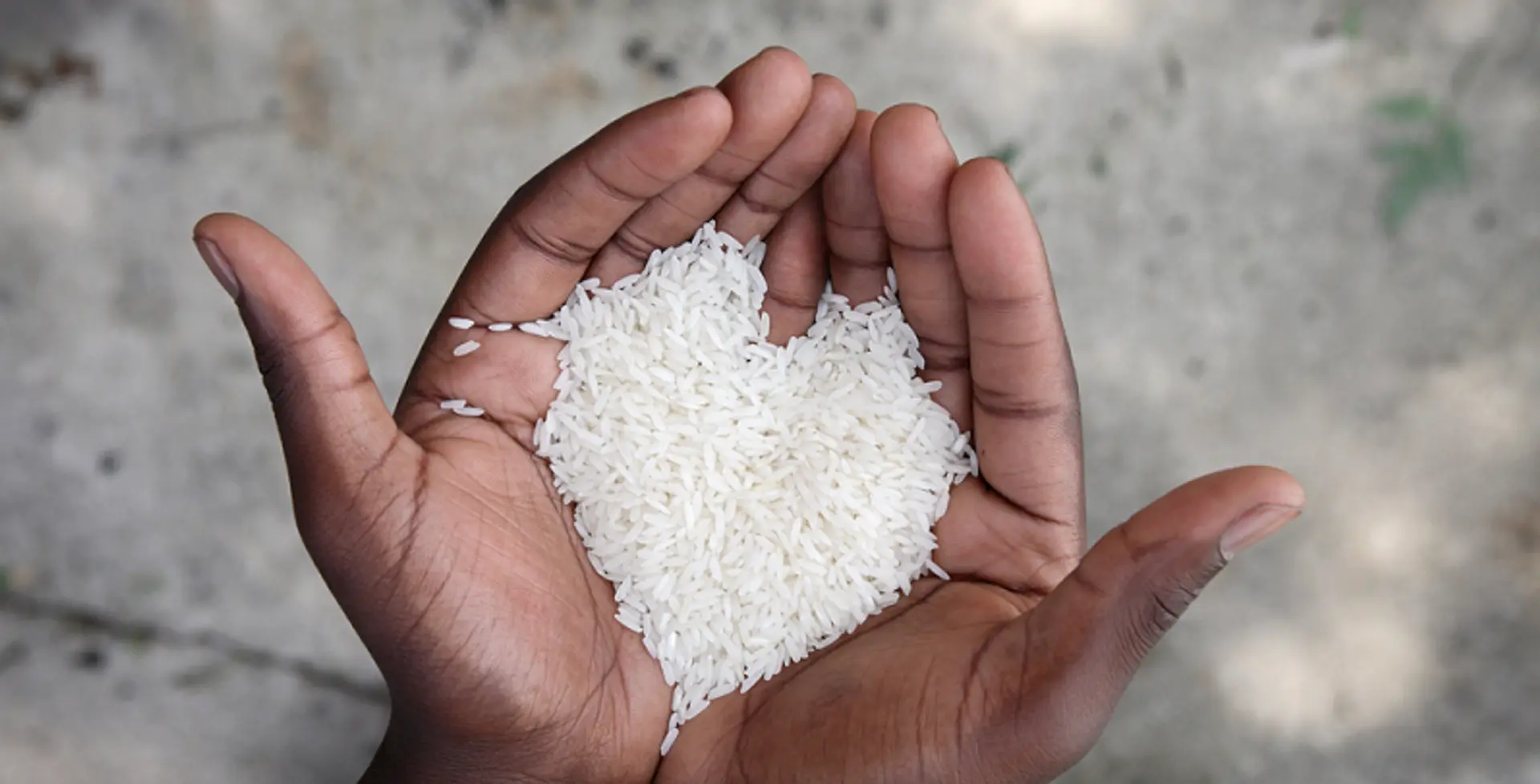The environmental cost of food wastage, like its economic cost, too is high