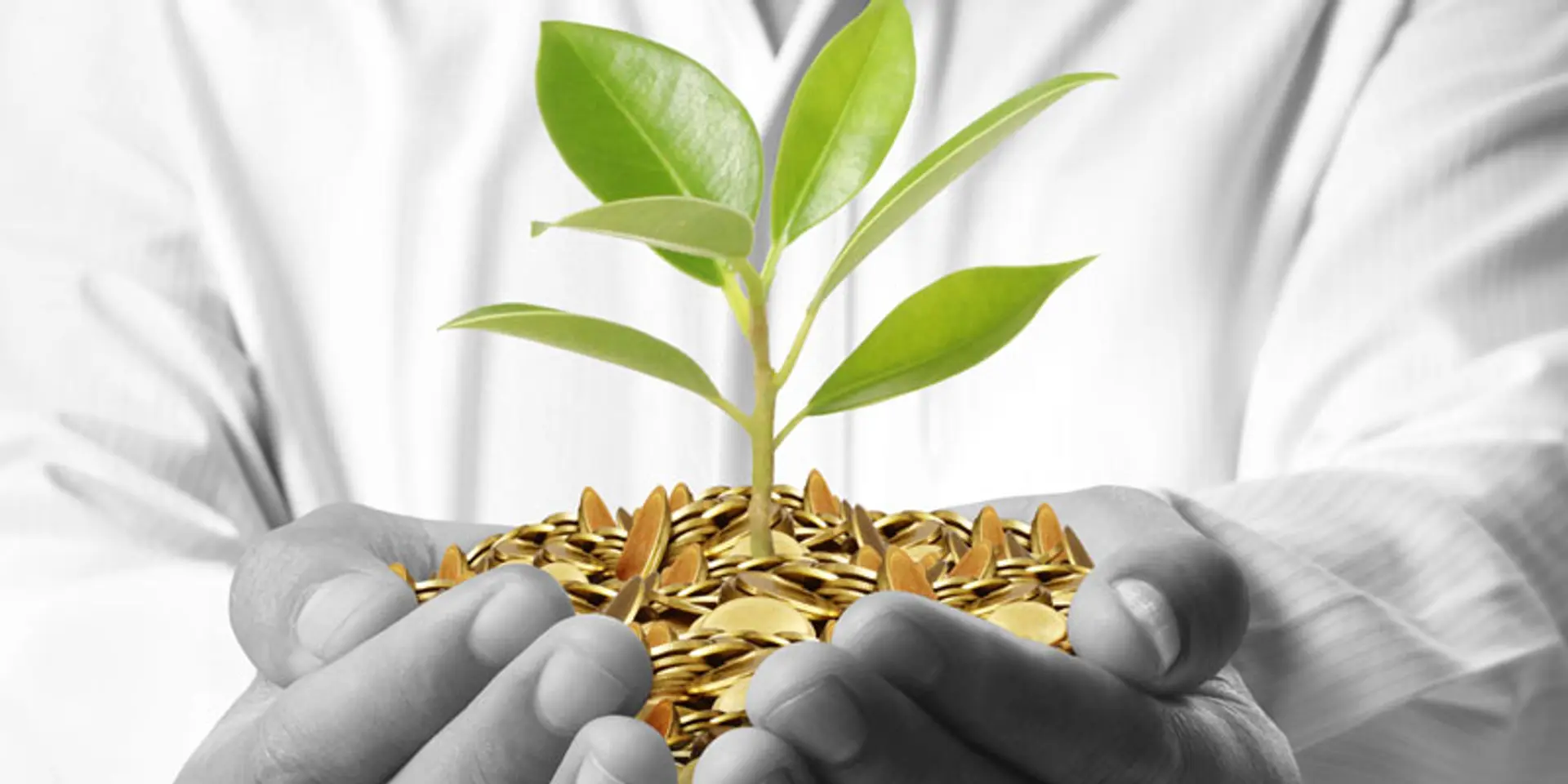 Is making billions of dollars only reason to start up?