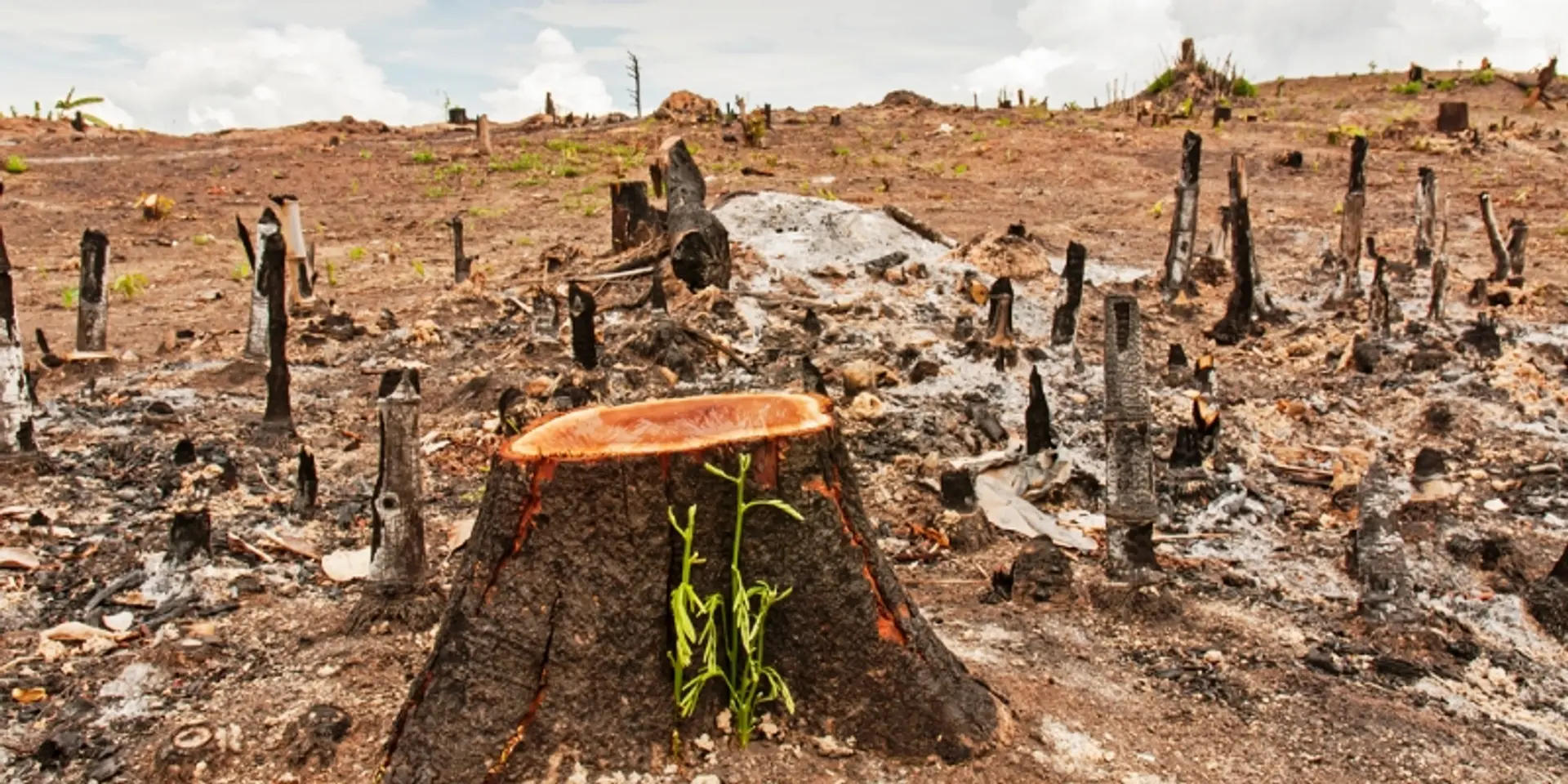 India, China among the countries most affected by disasters related to Climate Change