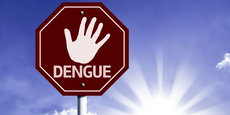 Dengue witnesses 38 percent rise in Delhi in one week