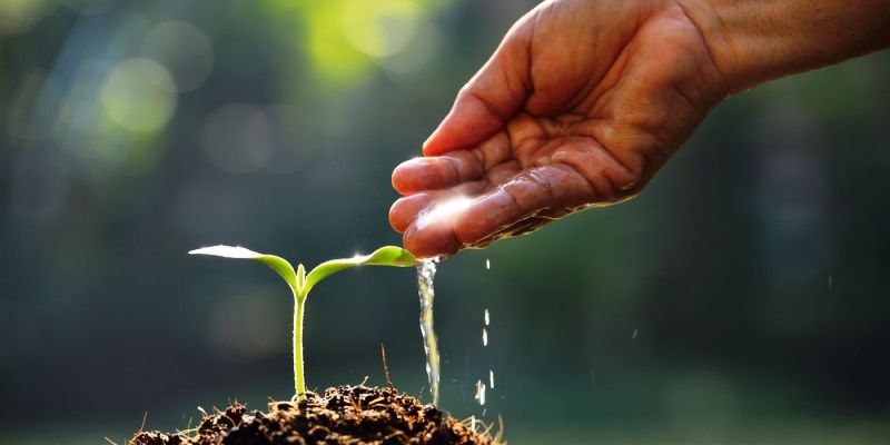 Punjab takes many initiatives, including planting 40 lakh saplings under Green Punjab Mission