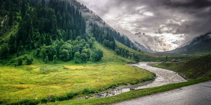 Jammu and Kashmir to conserve depleting forest cover by encouraging people's participation