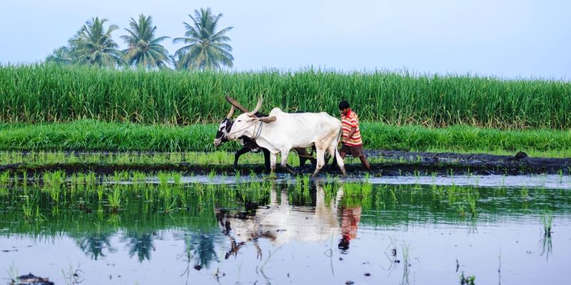 NABARD plans Rs 30,000 cr credit to farmers for irrigation