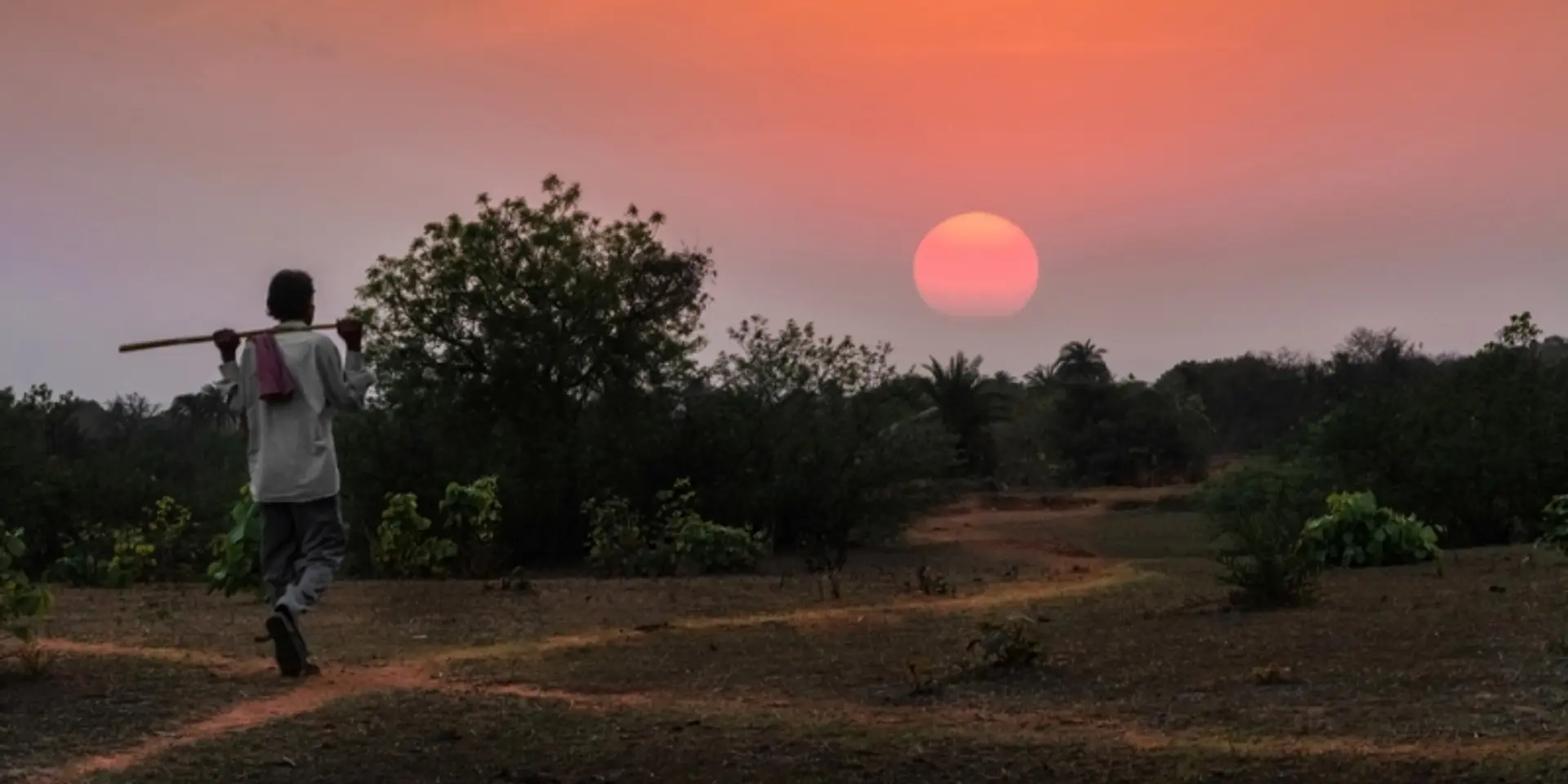 CInI to take tech-based initiatives to bring prosperity to tribals
