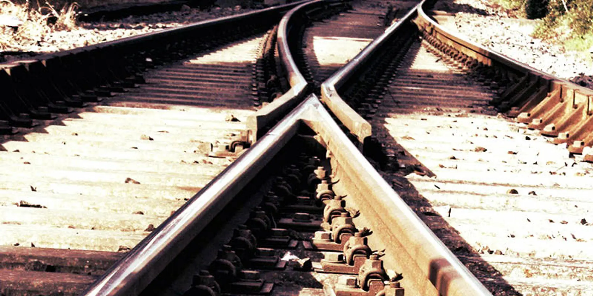 5 signs that indicate your business needs to pivot