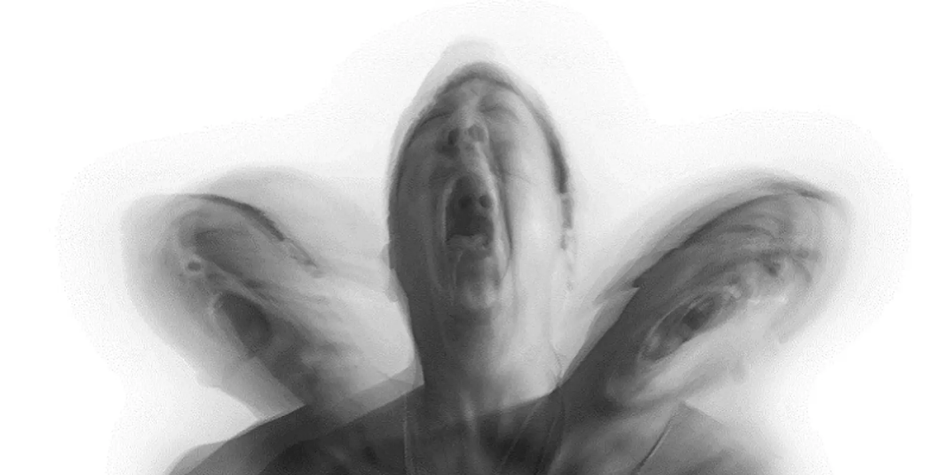The pain and agony of losing my startup