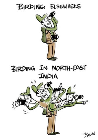 birding in the north east copy copy