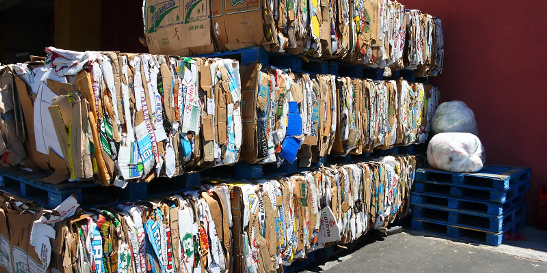 Kabadi Express - Helping People Recycle Paper and Get Paid For Doing It