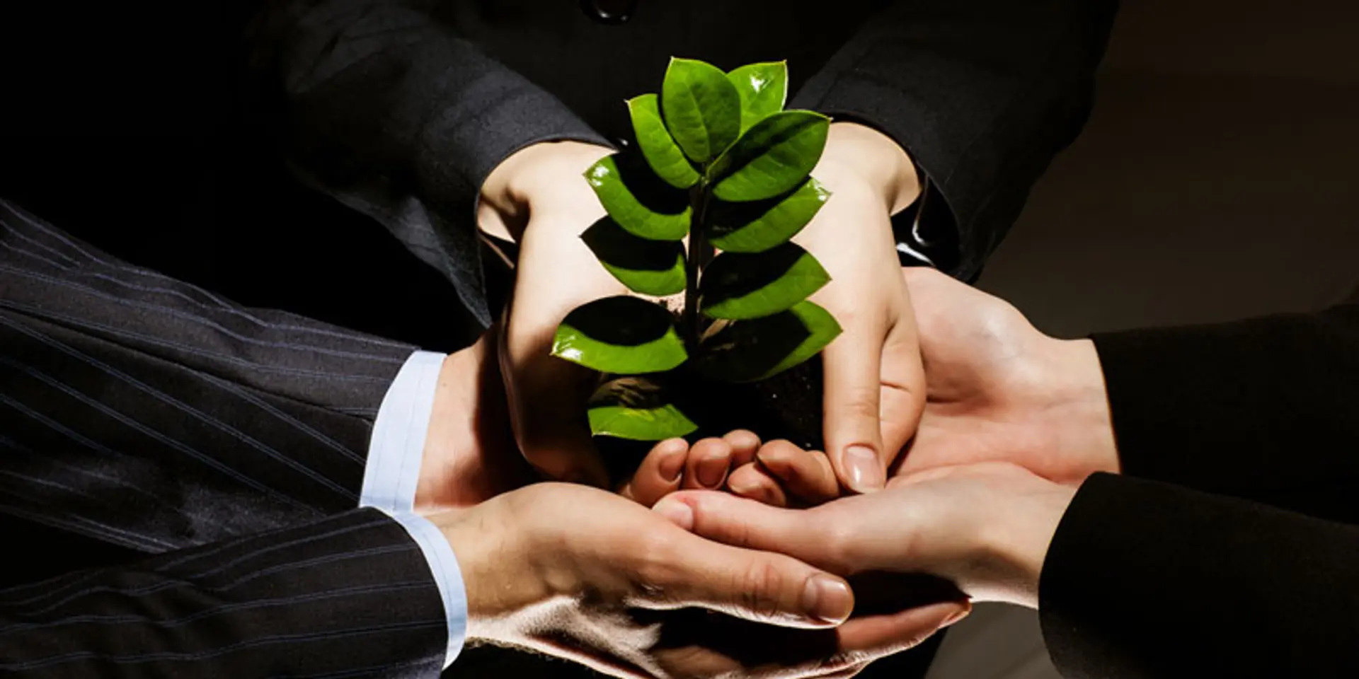The challenges to establishing your new business in the digital age