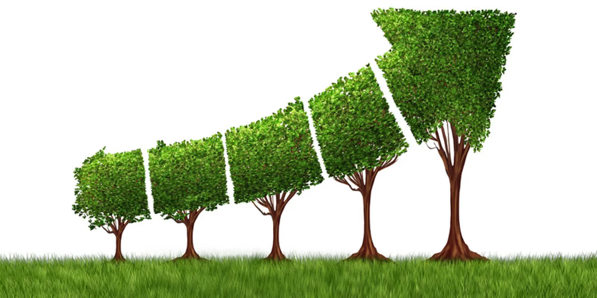 Are more startups really good for economic growth?