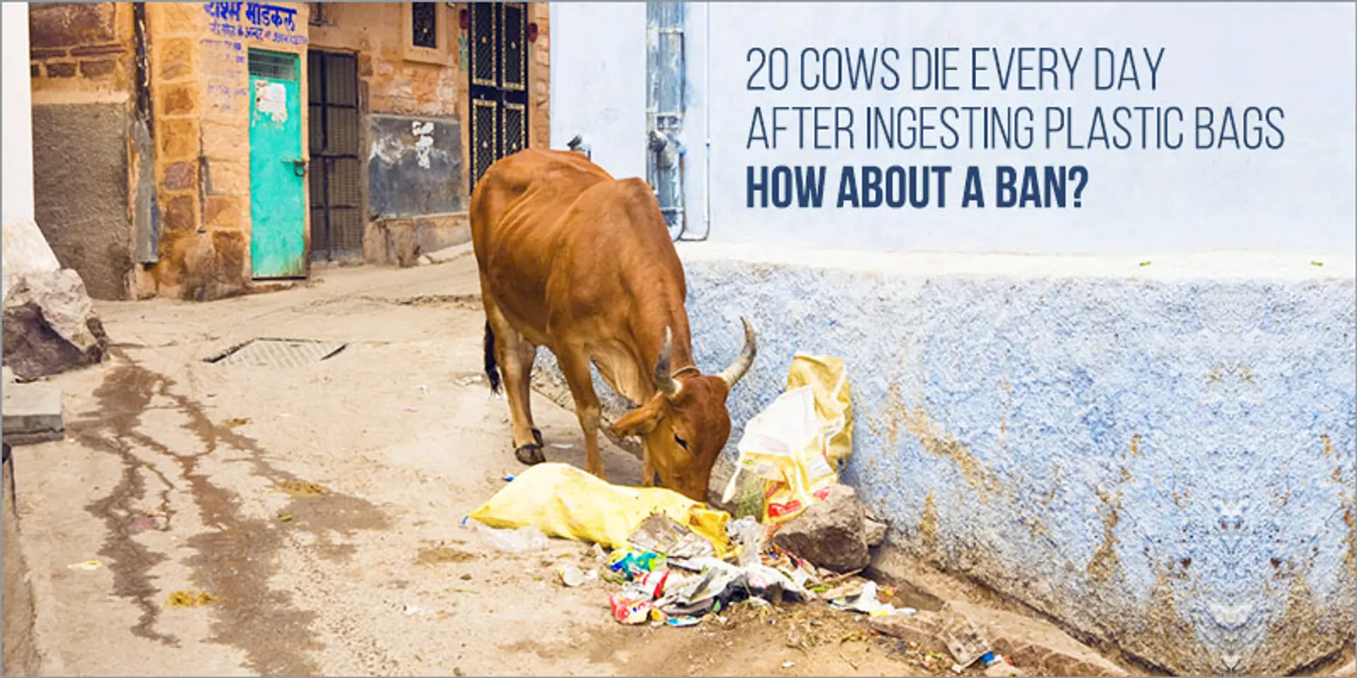 Imposing ban on plastic is not impossible; let’s do it before time runs out