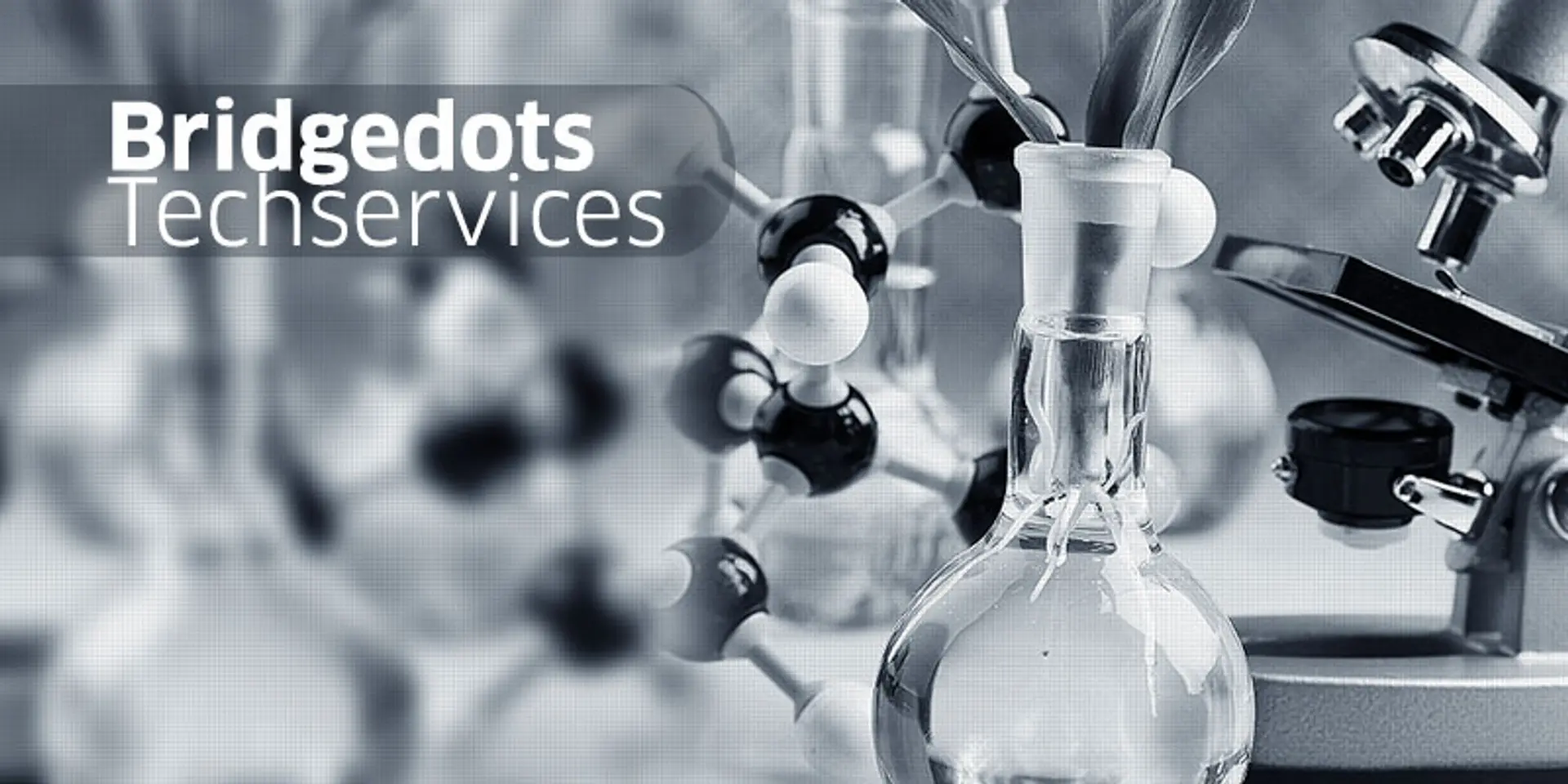 How IIT BHU backed Bridgedots is developing innovative technologies in Cleantech field