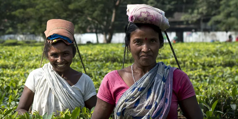 yourstory-assam-workers