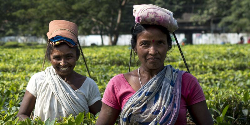 Assam to spend Rs 50,000 cr for new rural employment and infrastructure scheme