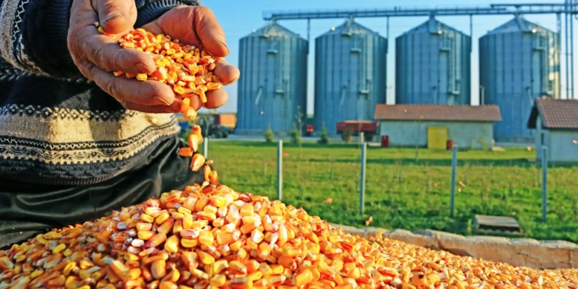 To give boost to agro-processing industry, 758 acre food park to come up in Andhra Pradesh