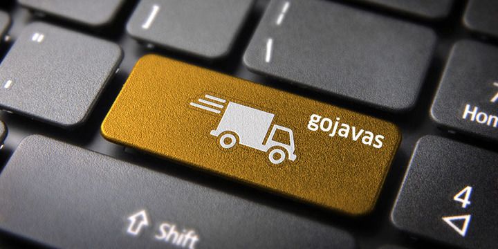 From operating out of a van to becoming a Rs 208-crore entity: the story of e-commerce-focused logistics startup gojavas