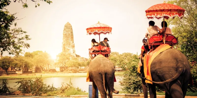 yourstory-kerala-elephant