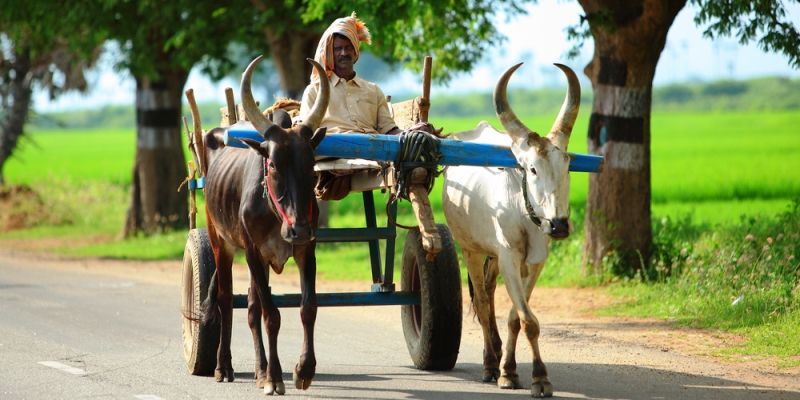 tamil-nadu-establishes-fellowship-to-help-farmers-double-their