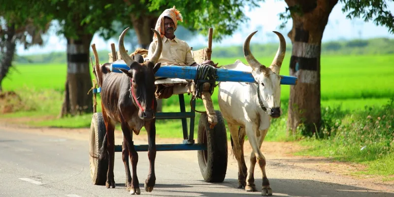 yourstory-tamil-nadu-farmer