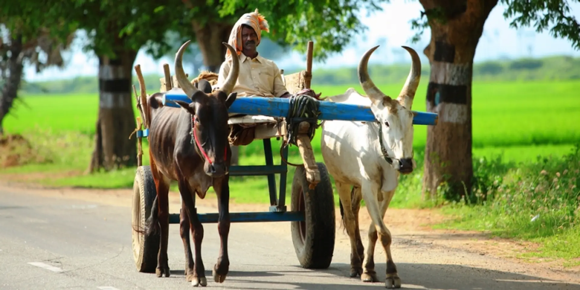 Tamil Nadu establishes fellowship to help farmers double their agriculture production