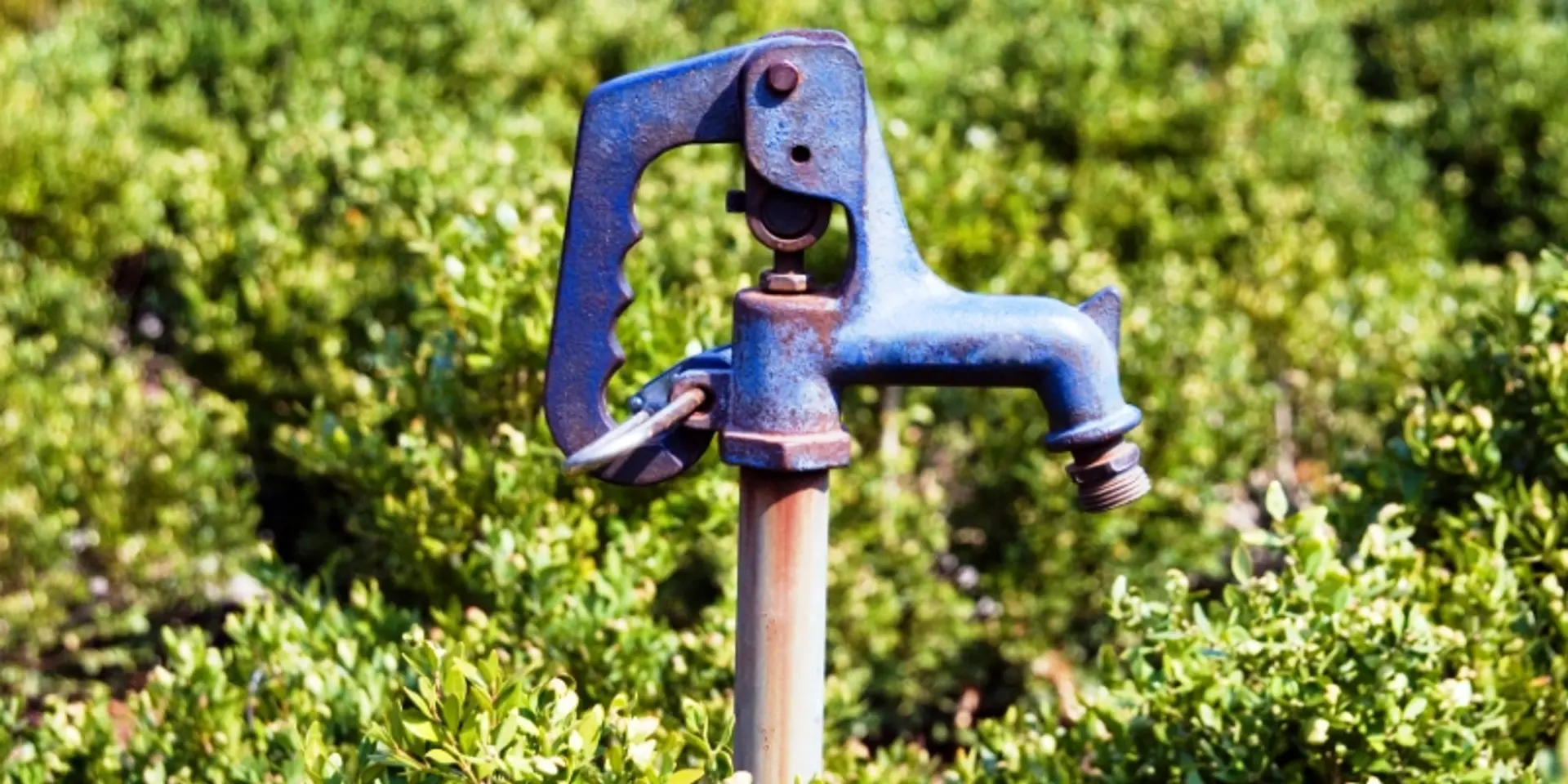 Solar pumps to be installed in 151 schools in Odisha's Koraput district