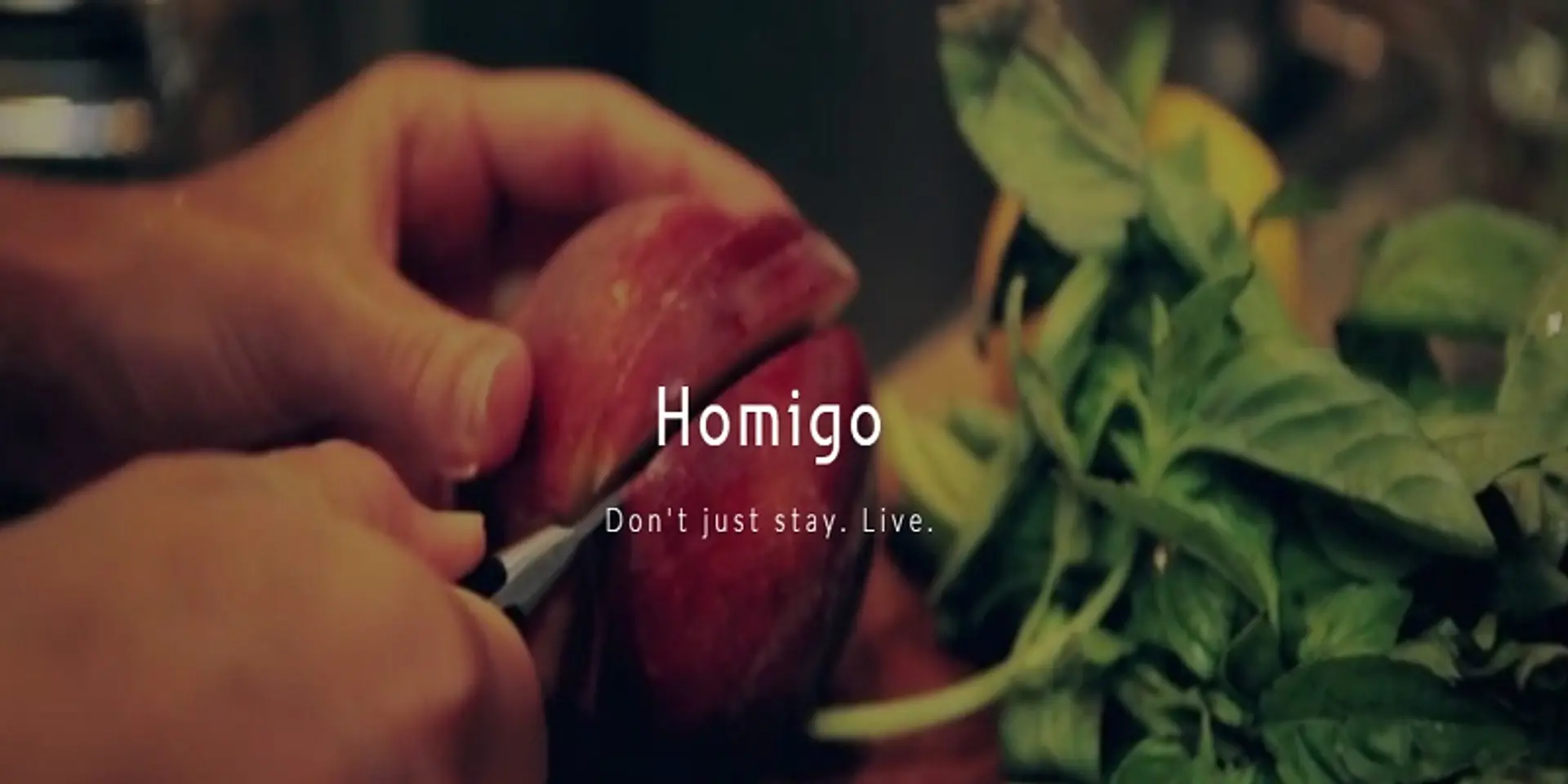 IIT Kanpur alumni start Homigo a flat sharing platform to solve rental problems