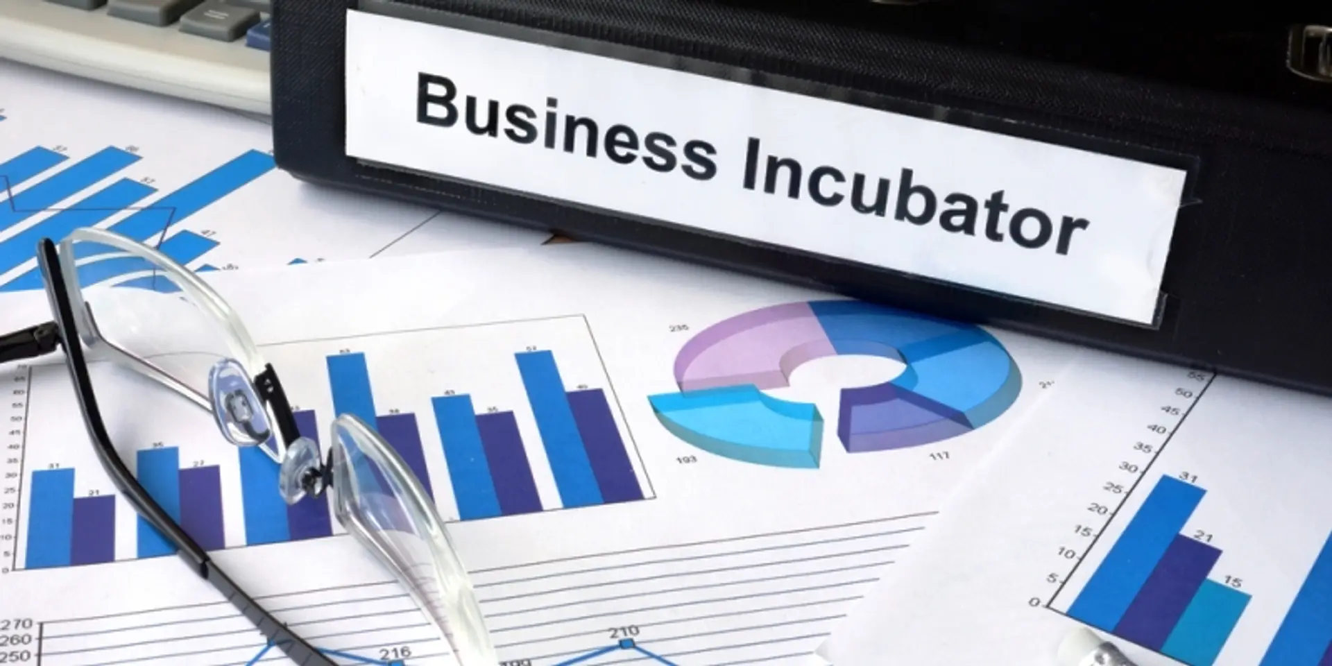 Business incubator programmes for colleges to be organized in Tamil Nadu