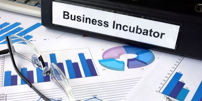 Business incubator programmes for colleges to be organized in Tamil Nadu