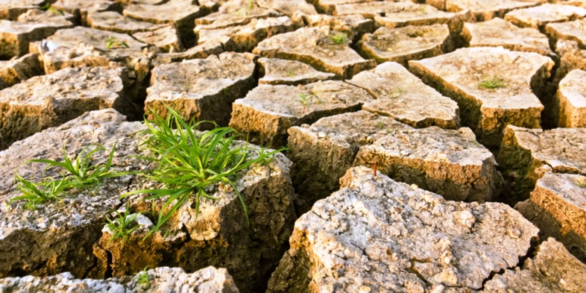 Green technology, funds crucial to India's climate change