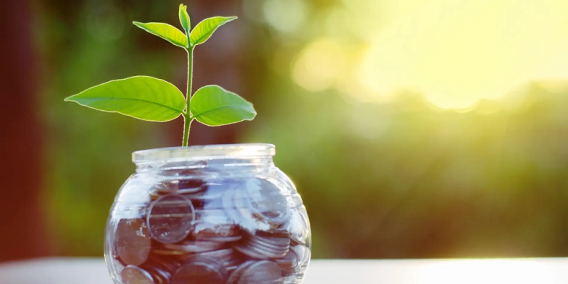 Qriyo Infolabs raises $160k from Idein Ventures in seed funding