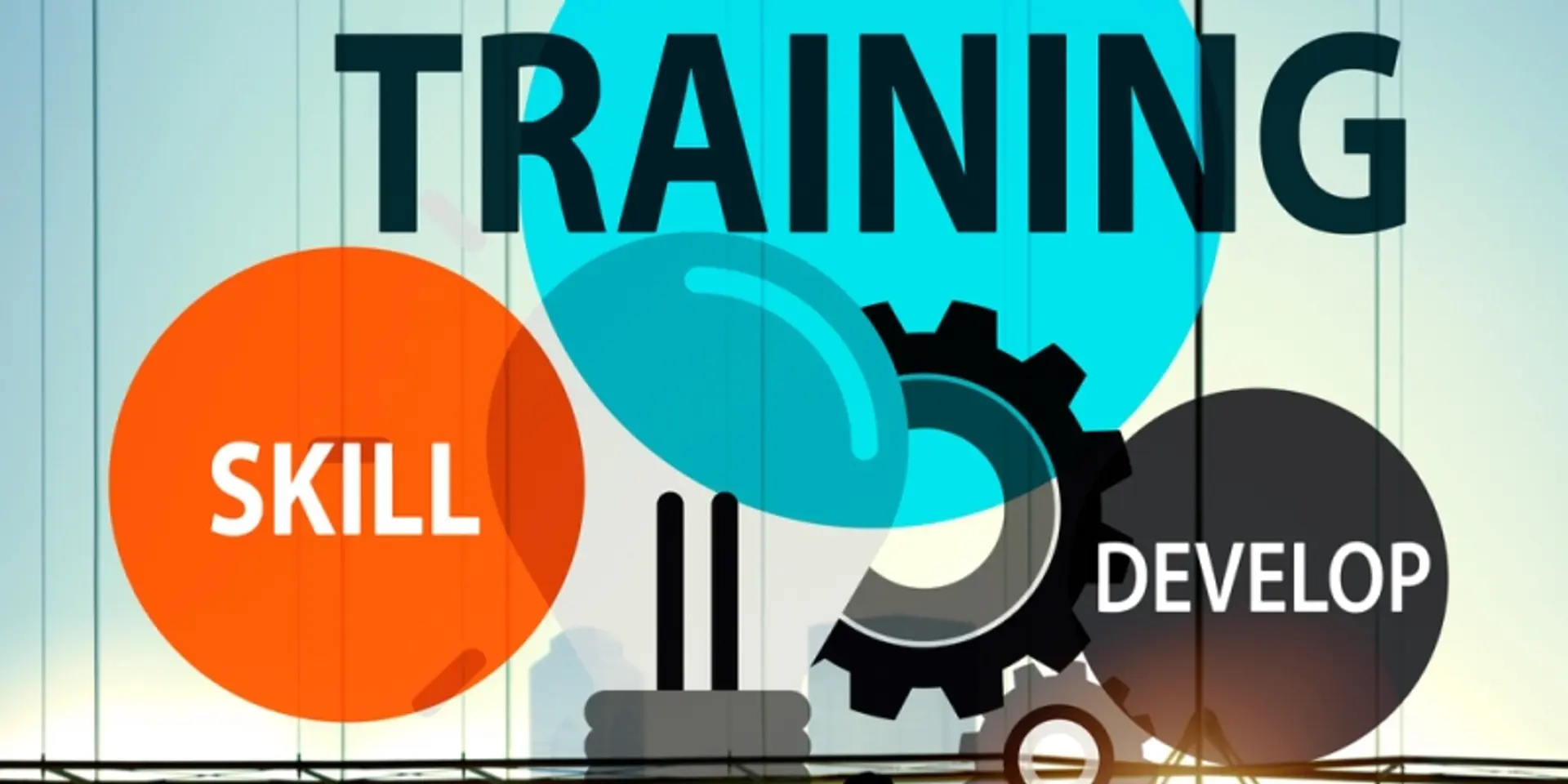 Switzerland keen to expand ties with India in skill training