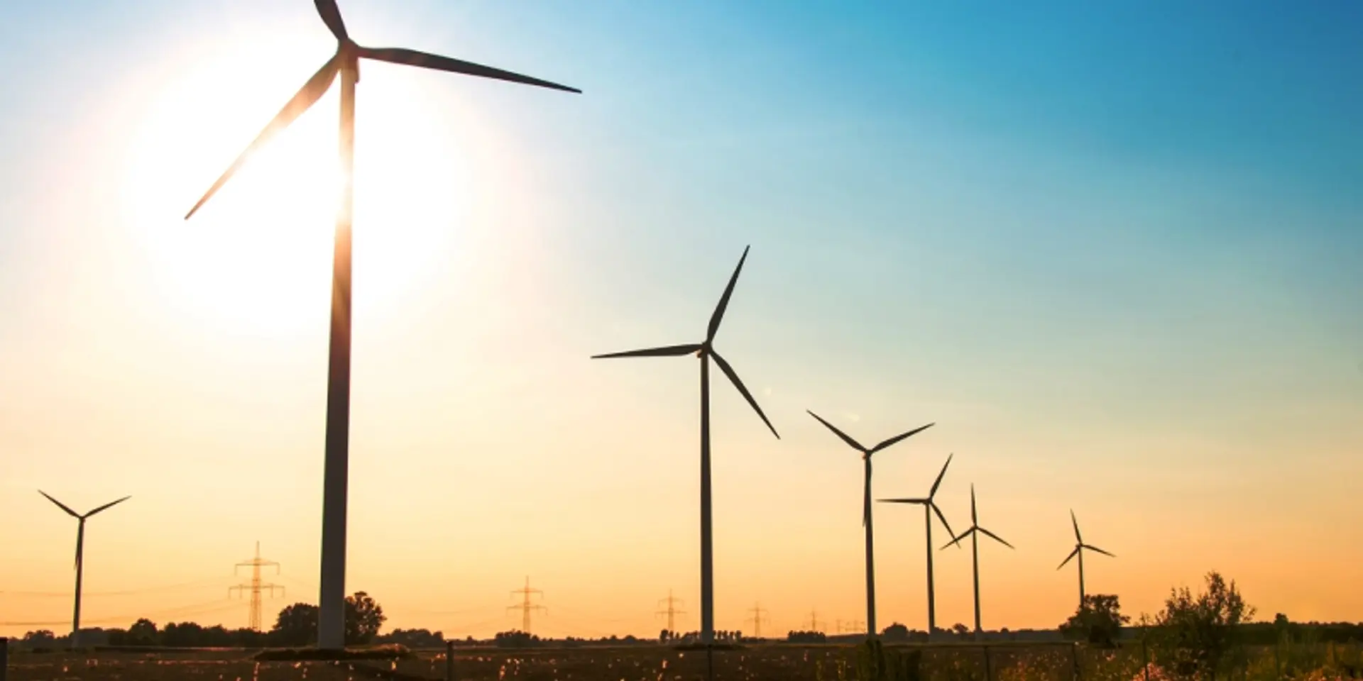 CLP India's wind energy arm raises Rs 600 crore via green bonds