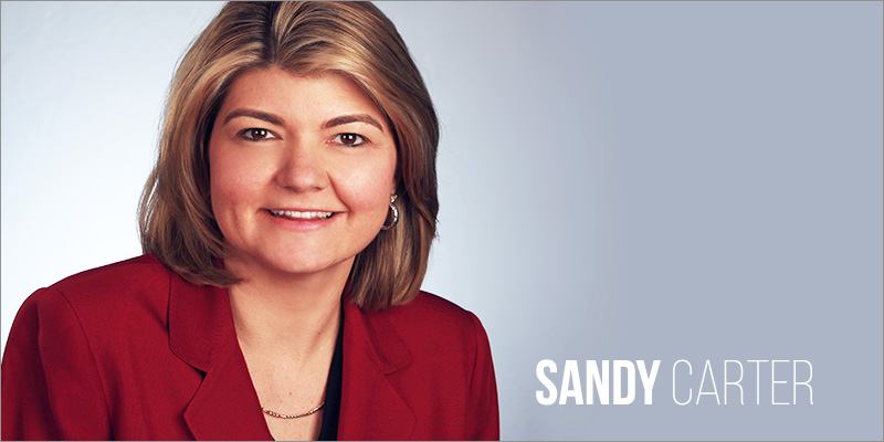 Exciting times for India as it transits from services to startups - Sandy Carter