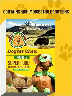 yourstory-Dogsee-Chew-InsideArticle2