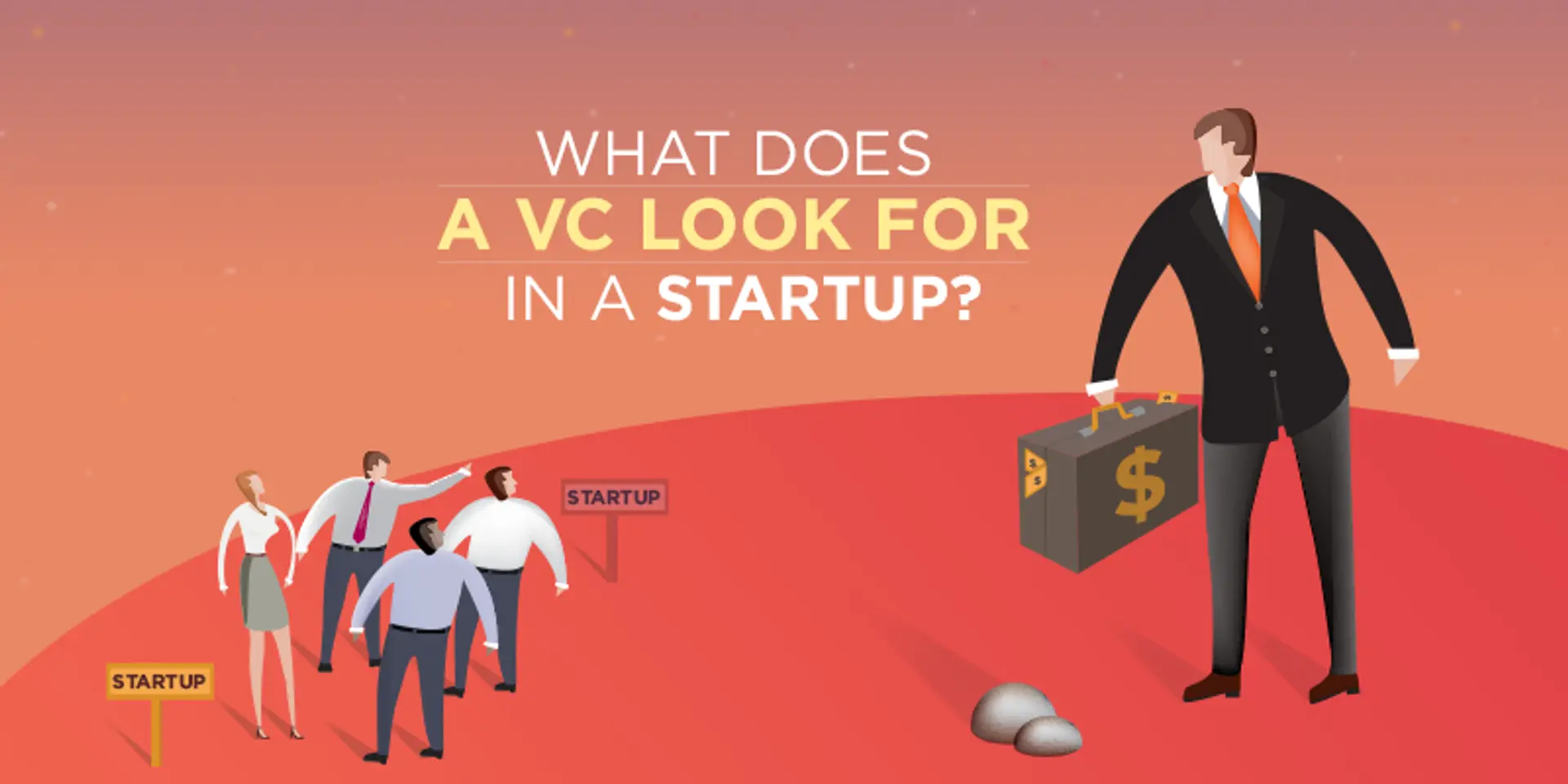 What does a VC look for in a startup?