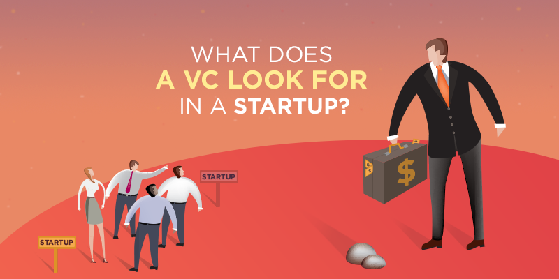 What does a VC look for in a startup?