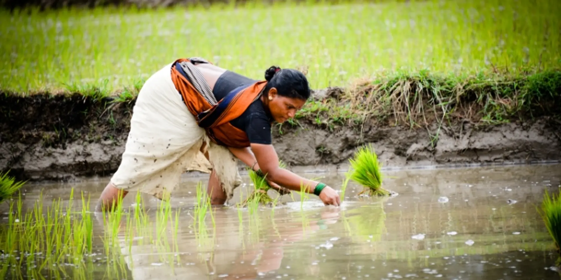 These startups offer value chain solutions and financial services to farmers