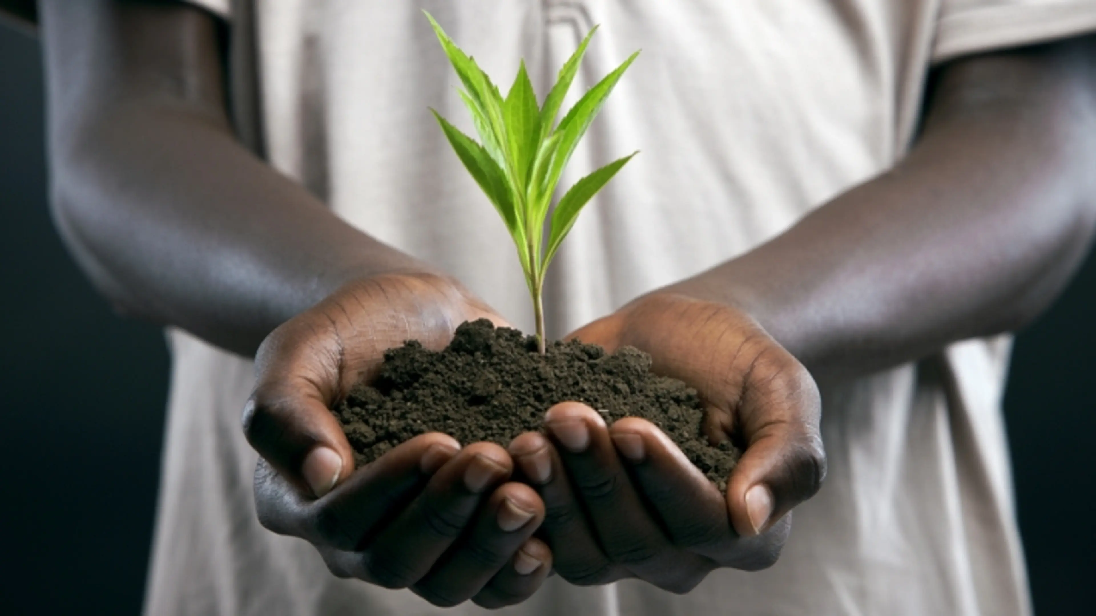 Assam group takes up environment protection, biodiversity initiatives ...